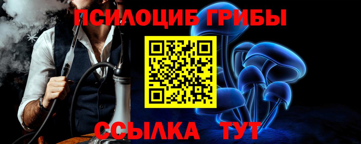 Галлюциногенные грибы прущие грибы  Вход с VPN  Ртищево  Галлюциногенные грибы MAGIC MUSHROOMS 
